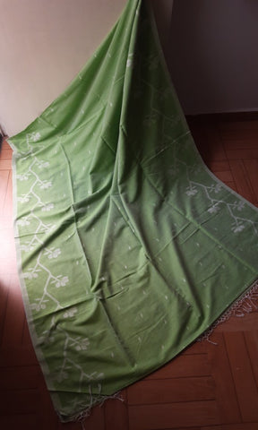 Pastel Green Cotton Saree with threadwork