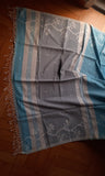 Pastel Blue Cotton Saree with threadwork