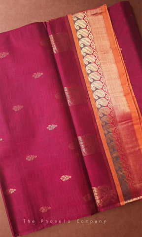 Magenta Venkatagiri Handloom Cotton Saree