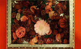 Potpourri